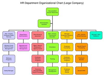 人力资源组织架构与服务体系解析