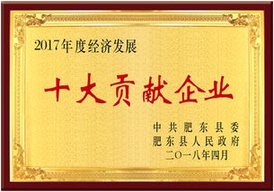 热烈庆祝安徽皖信人力资源管理荣获肥东县经济发展大会双项奖，树立人力资源服务新标杆