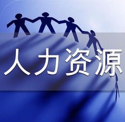 上海人力资源服务公司办理人力资源服务许可证指南