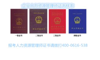成都成立人力资源服务公司完全指南